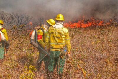 Imagem mostra brigadistas tentando apagar incêndio no território Pareci